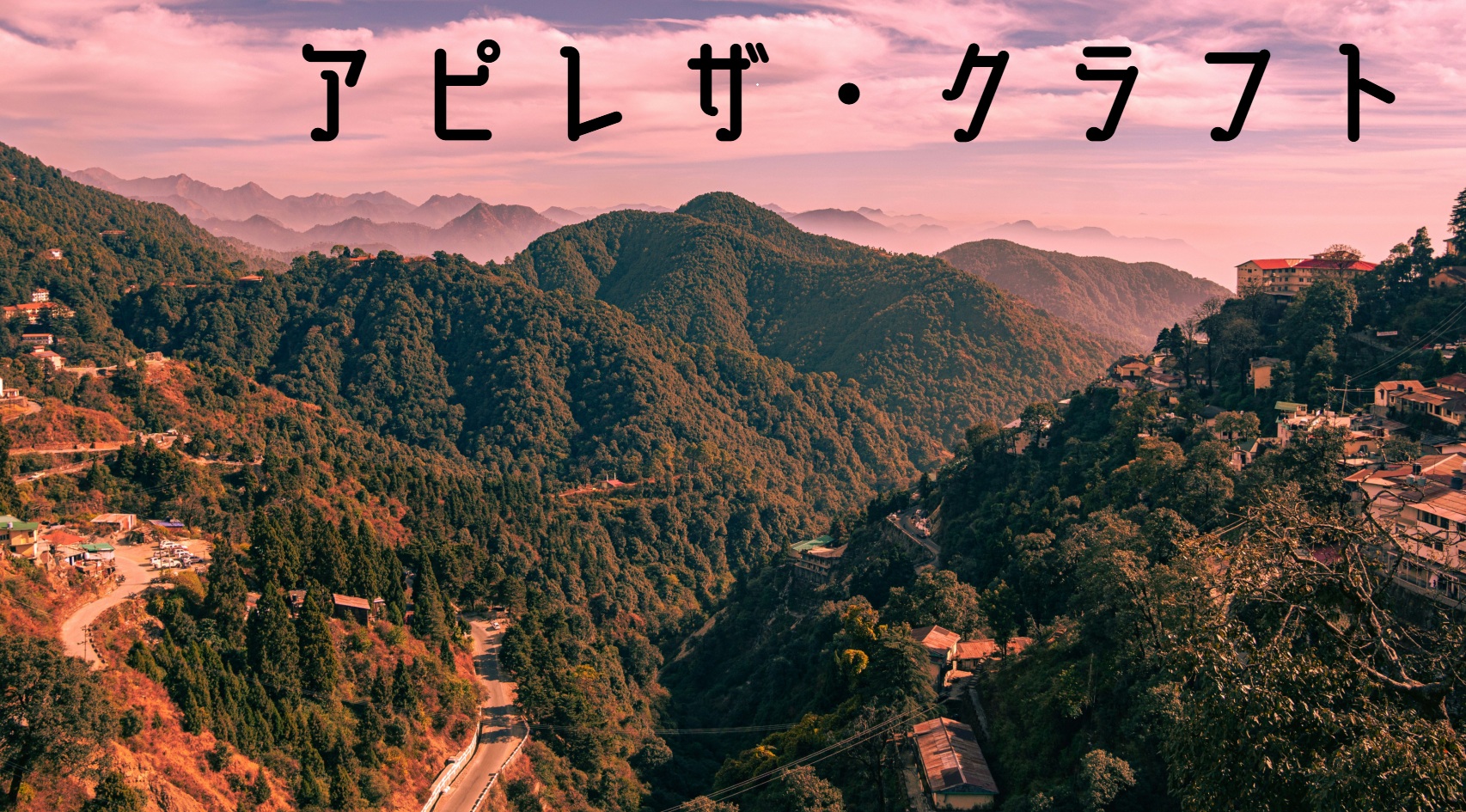 アピレザ・クラフト